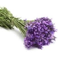 Image of Lavender Flower Posy